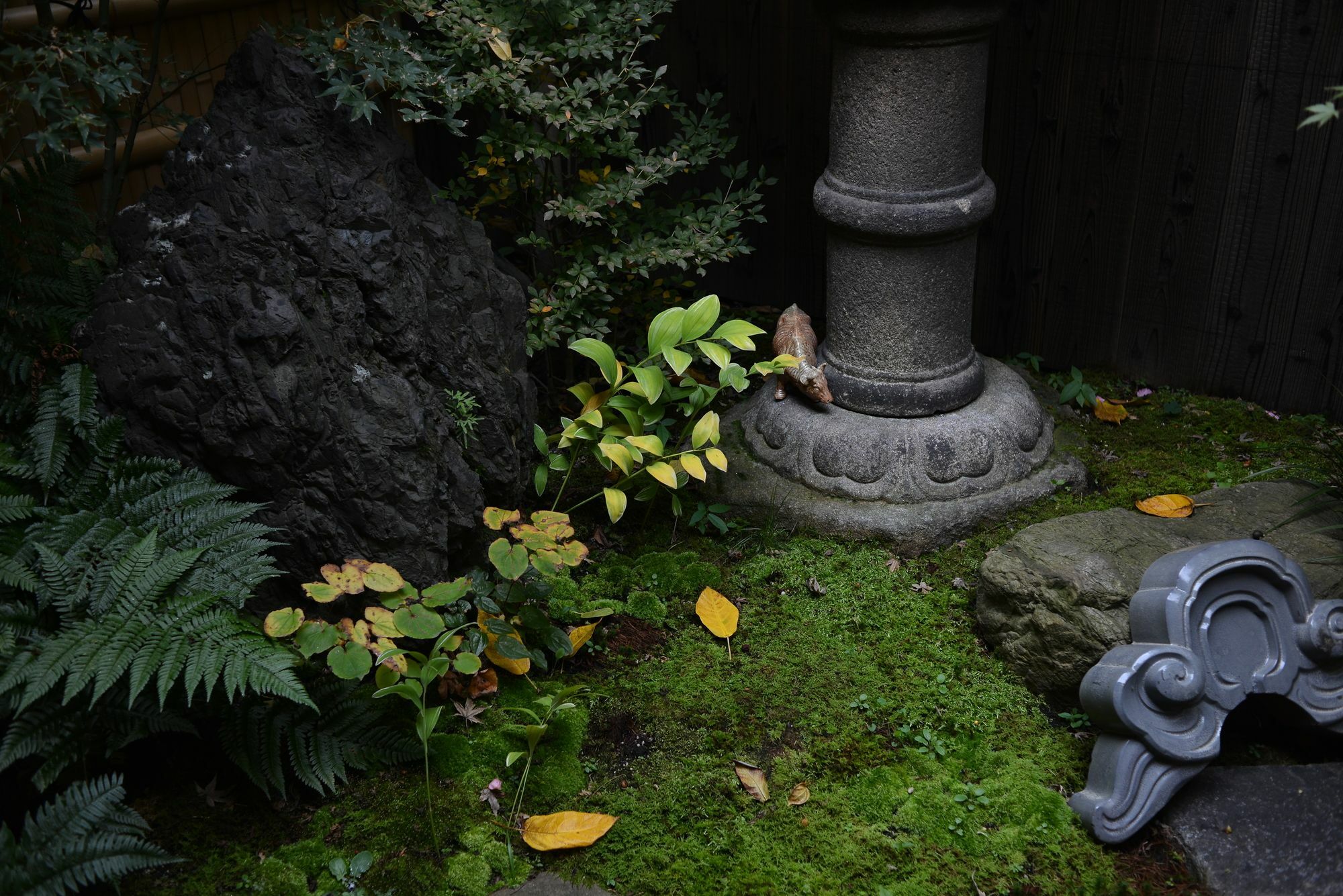 Guest House Bokuyado Kioto Zewnętrze zdjęcie